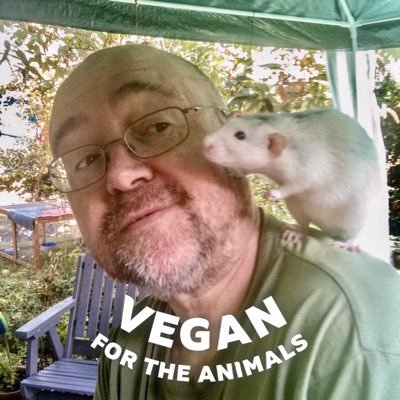 Vegan/Animal liberationist