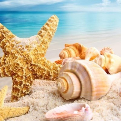 AZo3IArh7mHstdZ's profile picture. 