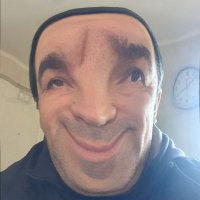 Sergio Navea 🌳 o 🍄 (@nanotran) 's Twitter Profile Photo