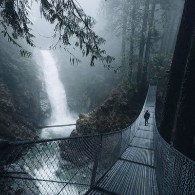 wmg85's profile picture. 