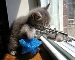 ABIC_systemDev's profile picture. 