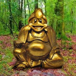 23 Bi He/Him | SWFL 9th PR | Mollusk Enjoyer | Underwater Photographer | Buddhist | Wants the world to be an enlightened and caring place :)