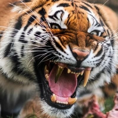 andres00261's profile picture. Lucho por la #LibertadPolíticaColectiva. Ingeniero Superior Industrial. Algún día España será una democracia.#YoNoVoto