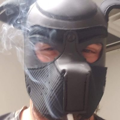 Nethack45's profile picture. @weVyBn Lead Grinders Recruiter and Player
Kaizen AAA Esports 
your favorite spastic semi-pro
get some merch