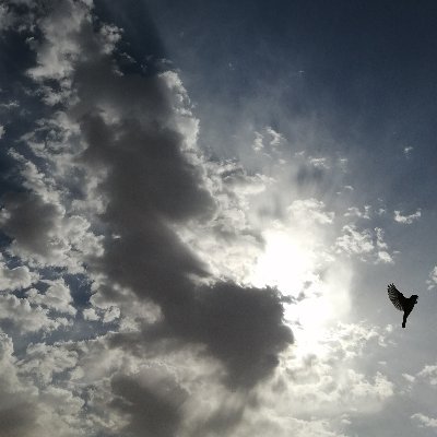 SPSxZO2Qf0mRG3v's profile picture. 