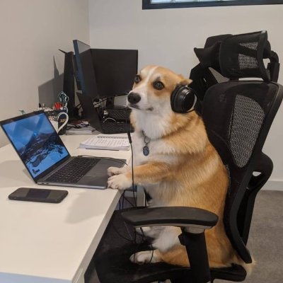 dmitryd20's profile picture. 