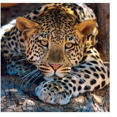 MaraGmezHdz1's profile picture. Soy un ser humano que fluye y aprende en el camino llamado vida.