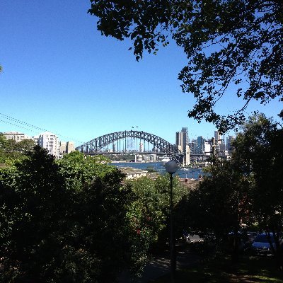 Renting in Sydney Profile