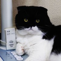 たけひで (@takehide28) 's Twitter Profile
