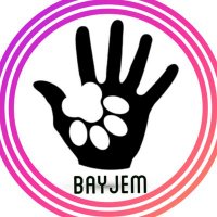 HAYVANSEVER(@BayJem) 's Twitter Profile Photo