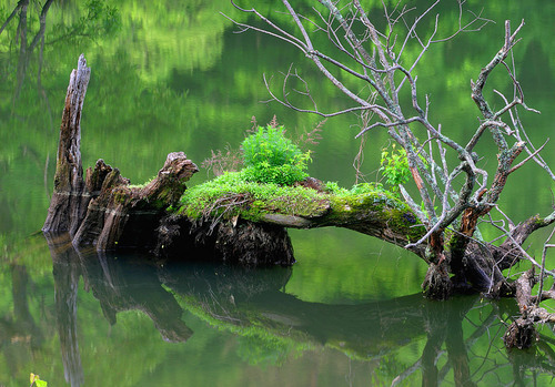 rkdhfl777's profile picture. 세상 사는 소식을 알려요.
사회, 종교, 문화