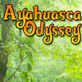 We are commited to providing safe, inexpensive and responsibly held ayahuasca retreats to assist people in self healing and accelerating spiritual growth.