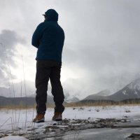 Nick Packer (@npacker2015) 's Twitter Profile