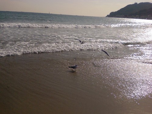 su0504's profile picture. 오늘 하루 뭐했나요? 자신에게 물어보세요! 오늘은 어제까지 살던 사람이 그렇게 바라던 내일입니다!!! 갱생~~~~