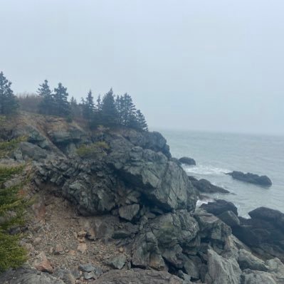 Youtube_girl15's profile picture. ❤CTFxC, TIHWB, JessFam, Britney and Baby, Samantha Jo, Elle Mills, Our Family Nest❤️