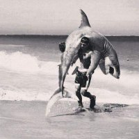 Brandini DeVino , Lone Star Family & Companies (@u2443060) 's Twitter Profile