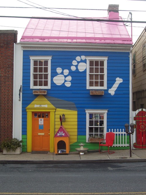 The Doghouse Even Your Cat Will Love!