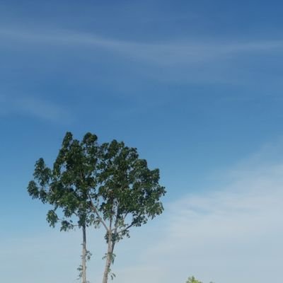 Mystories6969's profile picture. 