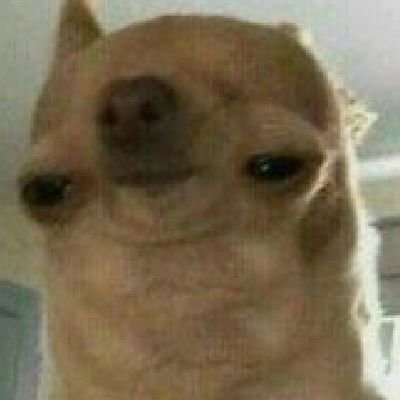 Sc1zzN's profile picture. //monke🦧🦧🦧\\
//bad web developer🖥️\\