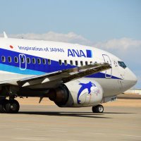 HONUMOTTY🐬💐 (@groupskymotomem) Twitter profile photo