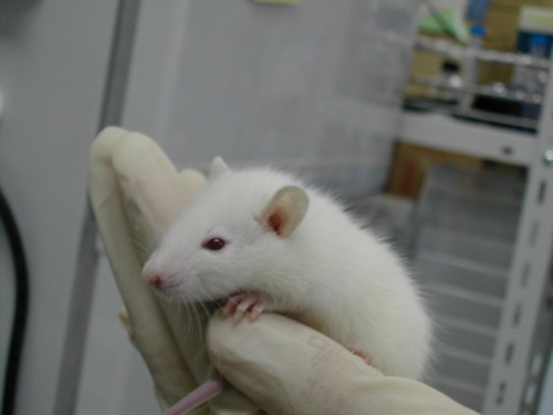 jkjkn's profile picture. 