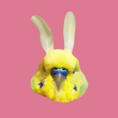 おかゆとかいぬしさんのプロフィール画像