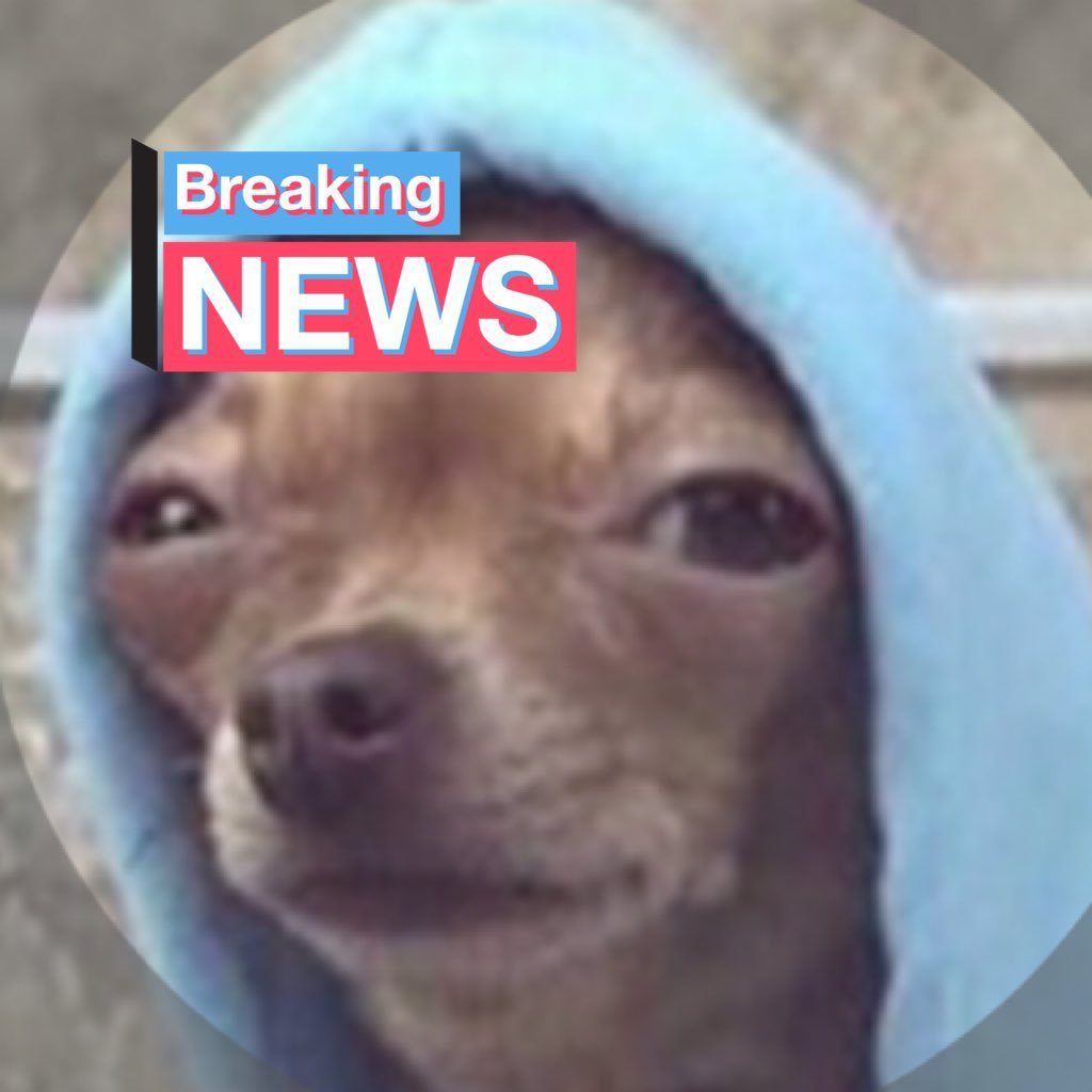 timestable3's profile picture. Rock wit it