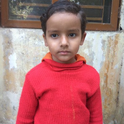 राष्ट्रहित सर्वोपरि - सनातनी चिंतक, धर्मो रक्षती रक्षितः हिन्दू राष्ट्र, शाकाहारी, हिन्दू