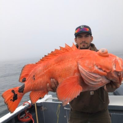 University of Oregon graduate | Fishing guide in Alaska