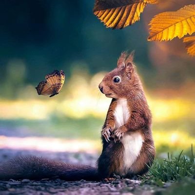 EmaWat117265021's profile picture. 🤩😘😍❤️