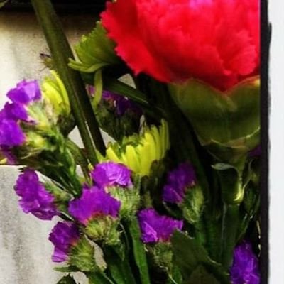 _uilani's profile picture. I stand for social justice; Mauna Kea, Disabled People; Women’s Rights; People Of Color; LGBTQ; No Borders No Walls; No One Illegal on Stolen Lands