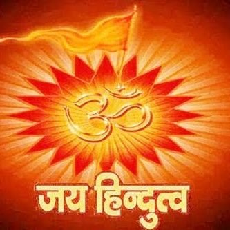 सनातनी हिंदू