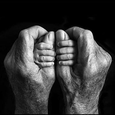 Paindo786's profile picture. تیری داڑھی تیرے بعد پیدا ہو کر سفید ہو گی اور تو سیاہ ہی رہا۔۔۔۔
(مولانا رُومی)