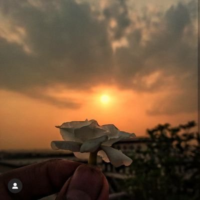 FarzanaRini's profile picture. 