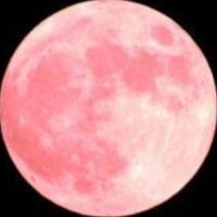 ひでのすけ。 (@hidenosuke_szz) 's Twitter Profile