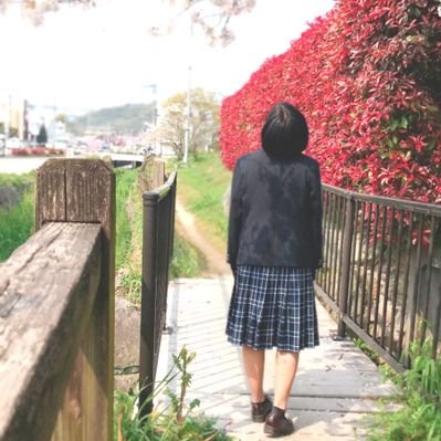 花緑青 Paris0066green Twitter 花緑青 Paris0066green Twitter