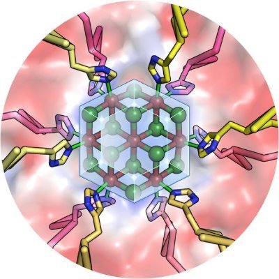 Arnout Voet, Computational protein and drug design, structural biology, biomolecular modelling, protein crystallography and biophysics.