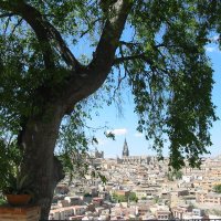 Almeces de Toledo 🌳 (@almecesto) 's Twitter Profile Photo Almeces de Toledo 🌳 (@almecesto) 's Twitter Profile Photo