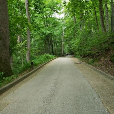 vlayrk's profile picture. Private