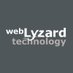 webLyzard technology (@webLyzard) Twitter profile photo