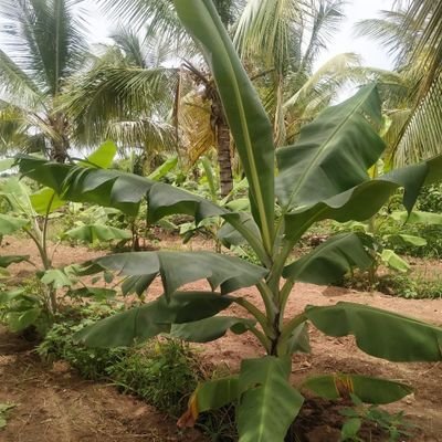 Farmers federation of India talks about farmers issues