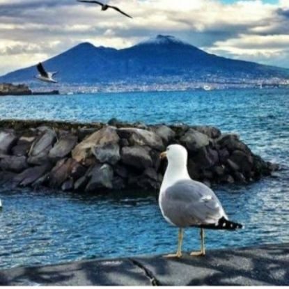 Son nata a Napoli perciò mi piace il mare...☀️