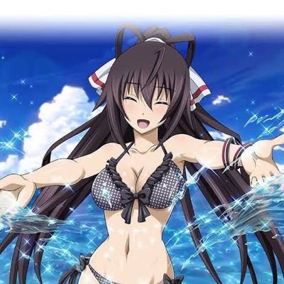 篠ノ之箒 Houki Sinonono Twitter 篠ノ之箒 Houki Sinonono Twitter