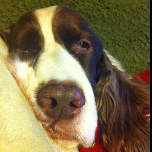 mnh1226's profile picture. 