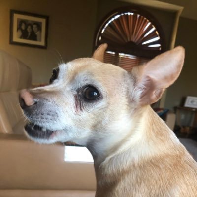 Jimddop's profile picture. 