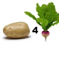 Spuds 🥔 (@spuds4turnip) 's Twitter Profile
