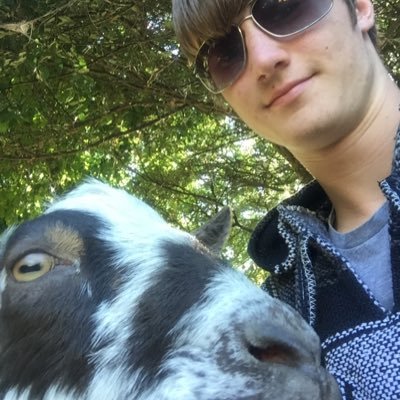 NoltingAlex's profile picture. 