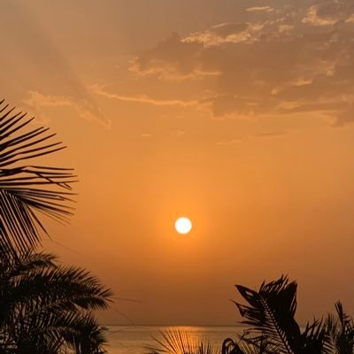 pamor1's profile picture. Enterprise Cloud aficionado. Big data, cloud strategy and business process specialist. Global citizen. Sports fan.