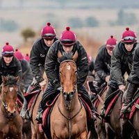 lucinda russell (@lucindavrussell) 's Twitter Profile