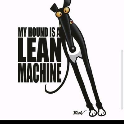 lisawedding14's profile picture. 